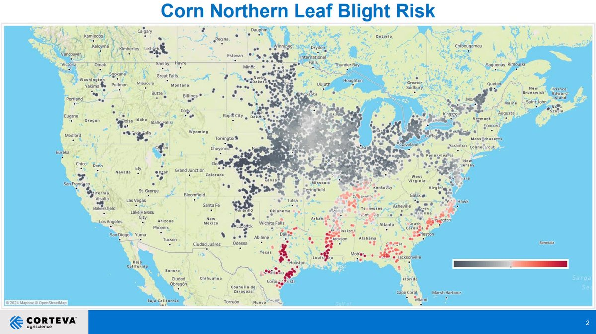 Disease Prediction Model most recent run.  GLS risk increasing rapidly and is becoming much easier to find in fields.  Tar Spot is picking up the pace as well.
Typically don't put in Southern Rust.... but Hurricane Beryl came ashore right where Southern Rust was a hot spot and