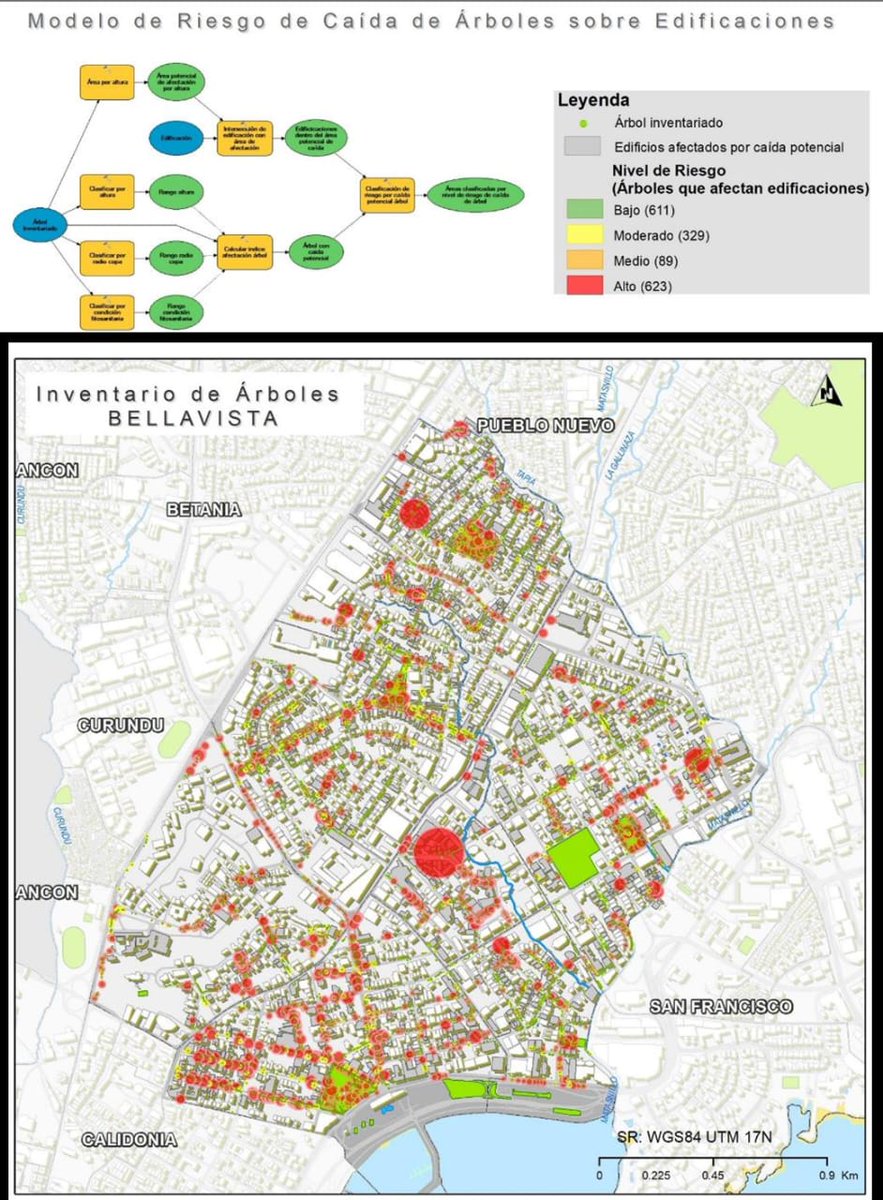 BlandonJose's tweet photo. Las iniciativas de jardínes verticales y reforestación que está anunciando @panamamunicipio a través de la Dirección de Gestión Ambiental son positivas. Sólo quiero llamar la atención sobre el mantenimiento del arbolado urbano existente, que también es importante. En nuestra gestión, se levantó un inventario del arbolado existente y se utilizó tecnología para evaluarlos. No creo que se le diera seguimiento en la pasada administración.