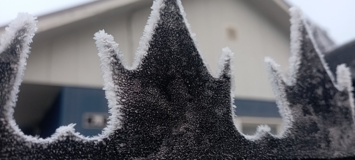 Fransoto_v's tweet photo. Amenecer en #LAnco  🥶 #Valdiviacl #meganoticias https://t.co/mQHFEP2tF9
