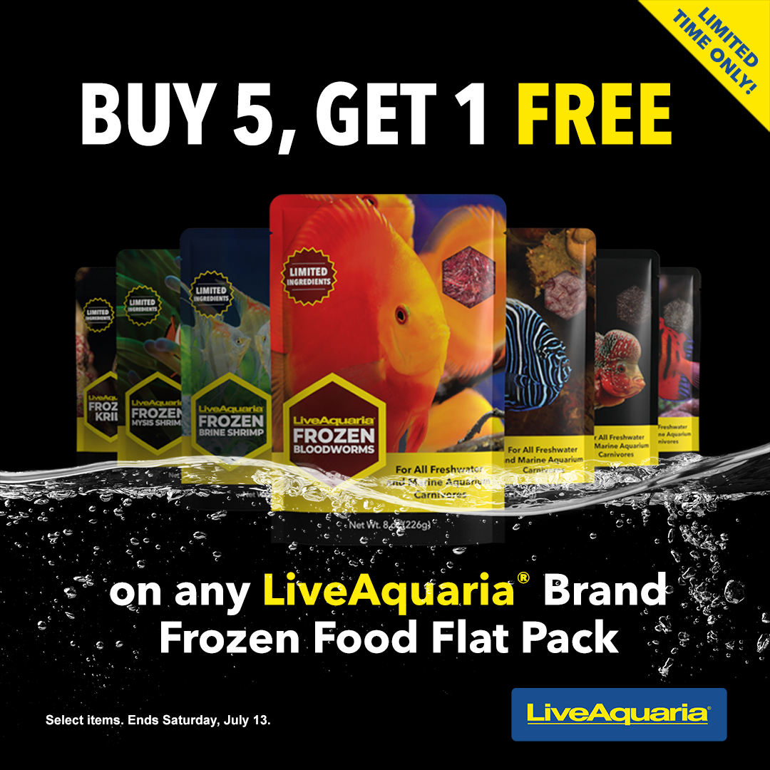 LiveAquaria's tweet image. Do you want to get FREE stuff you’ll actually use? You can, during our Buy 5 Get 1 Free LiveAquaria® frozen foods event. Use them as part of your aquatic life’s regular diet or to entice finicky fish to eat.
bit.ly/4eOtGLe
#freestuff #getonefree #liveaquaria