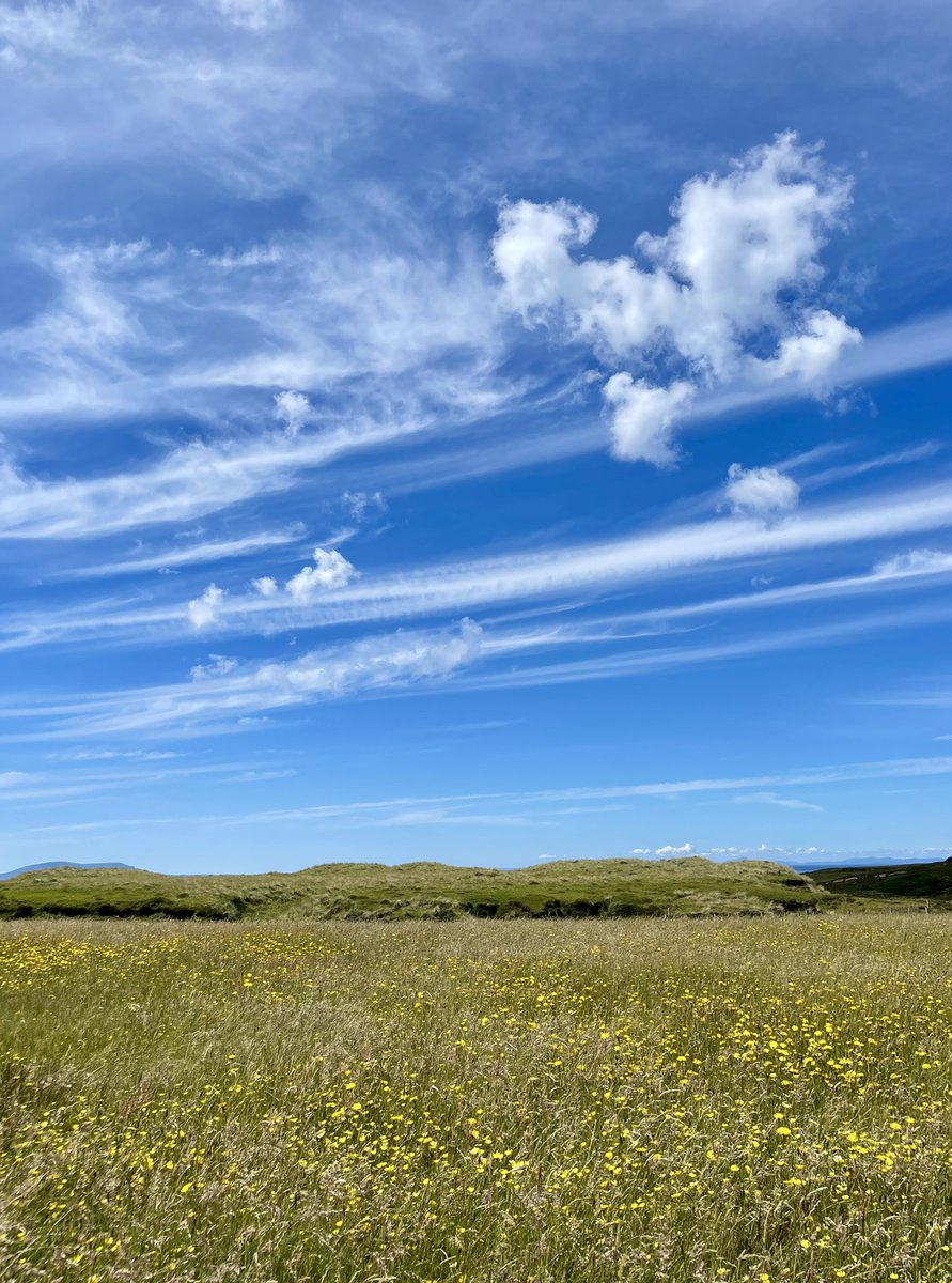 Oh, that sky…