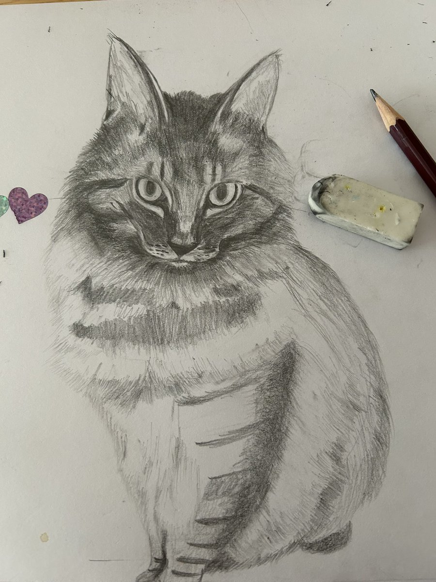 pocomomomo's tweet image. 毛の流れが難しい…ふわっふわの毛並みを表現するにはどうしたらよいものか。
ちゃもものご飯をあげて、子どもも寝た後の少しの静かな時間。
お空に行った子と会話する時間。
この時間がとても幸せ💓
#猫好き