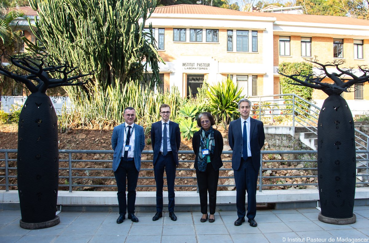 Institut Pasteur Madagascar🇲🇬 tweet media