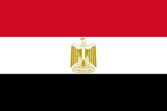 Toqa khaled tweet media