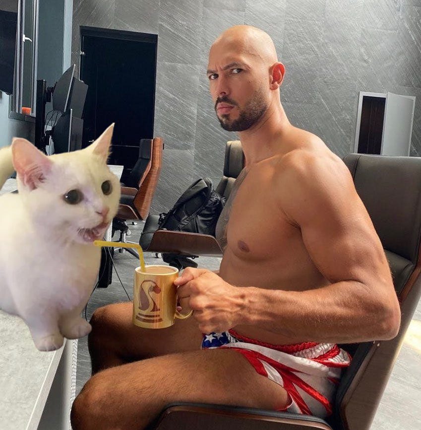 Toenibbler21's tweet photo. Common picture of @Cobratate getting pussy https://t.co/5PeUtT5FAM