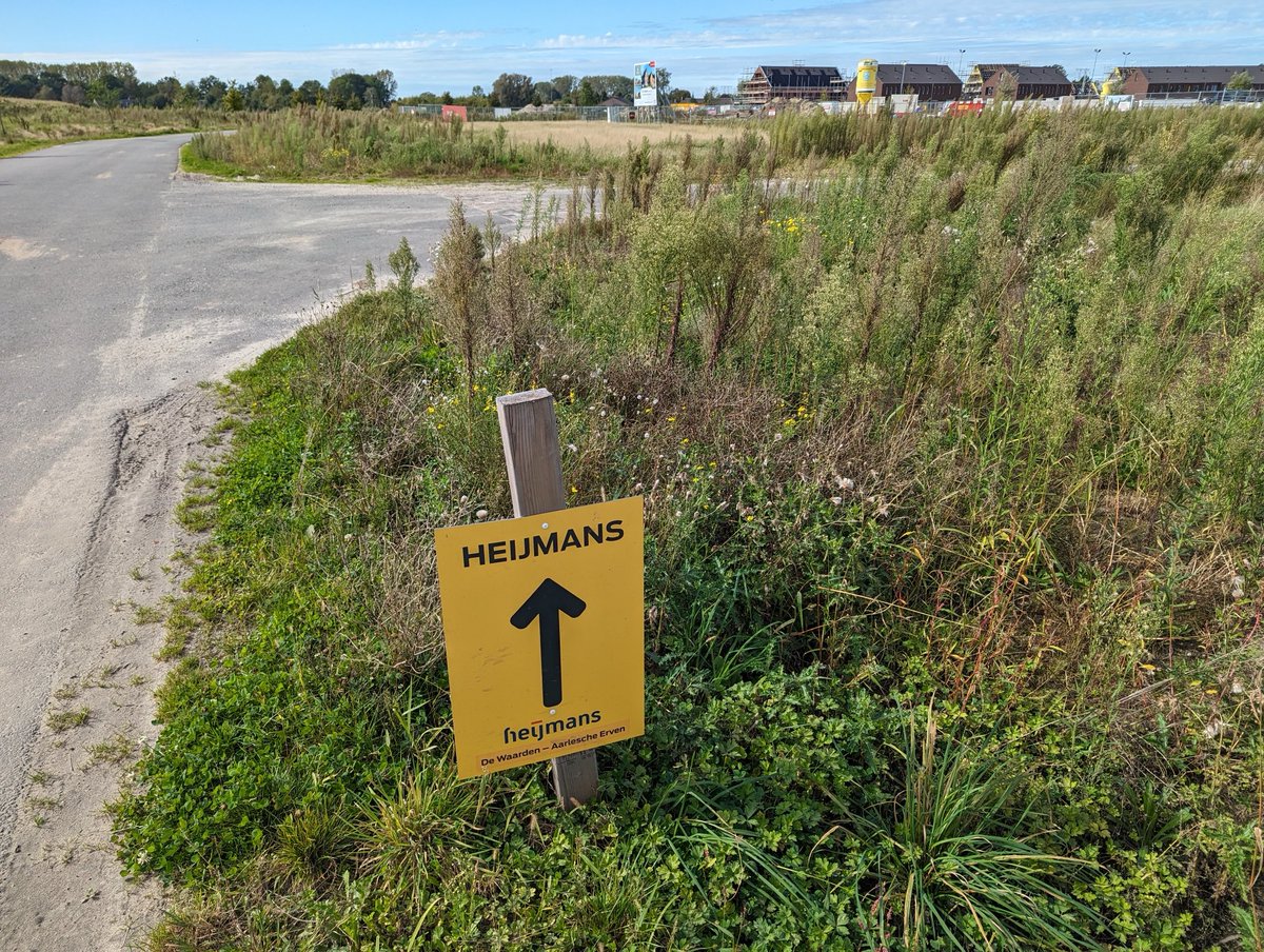 Marc Doodeman tweet media