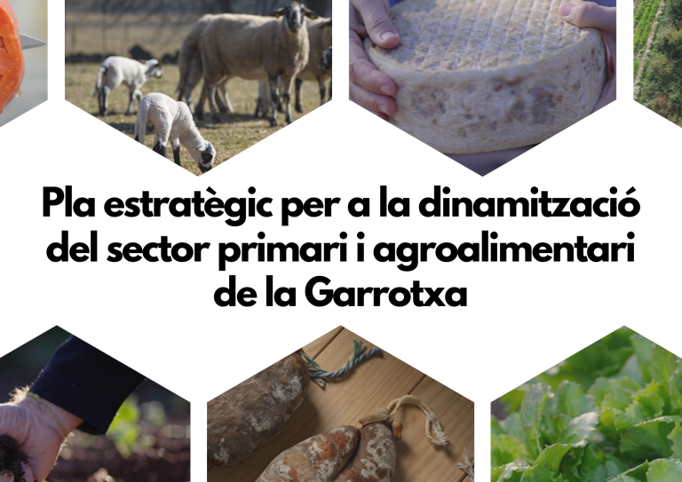 Olotuit's tweet photo. 🌱 Coneixeu el Pla Estratègic del sector #primari i #agroalimentari de la #Garrotxa que ha impulsat el @CCGarrotxa?
➡️Aquí podeu fer-li un cop d'ull: https://t.co/Y5gZAttoid
👉 Diagnosi sectorial
👉 Pla d'accions
#Olot https://t.co/2bo1aAcJJb