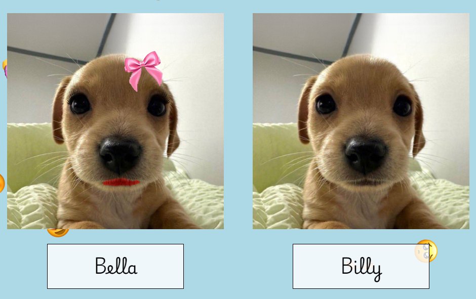 RealBellaCTO's tweet photo. @manos_de_papel_ $billy girlfriend $bella is at 15k at the time of this tweet, what marketcap do you think it would be on the next tweet?? https://t.co/tYHBqcf16F