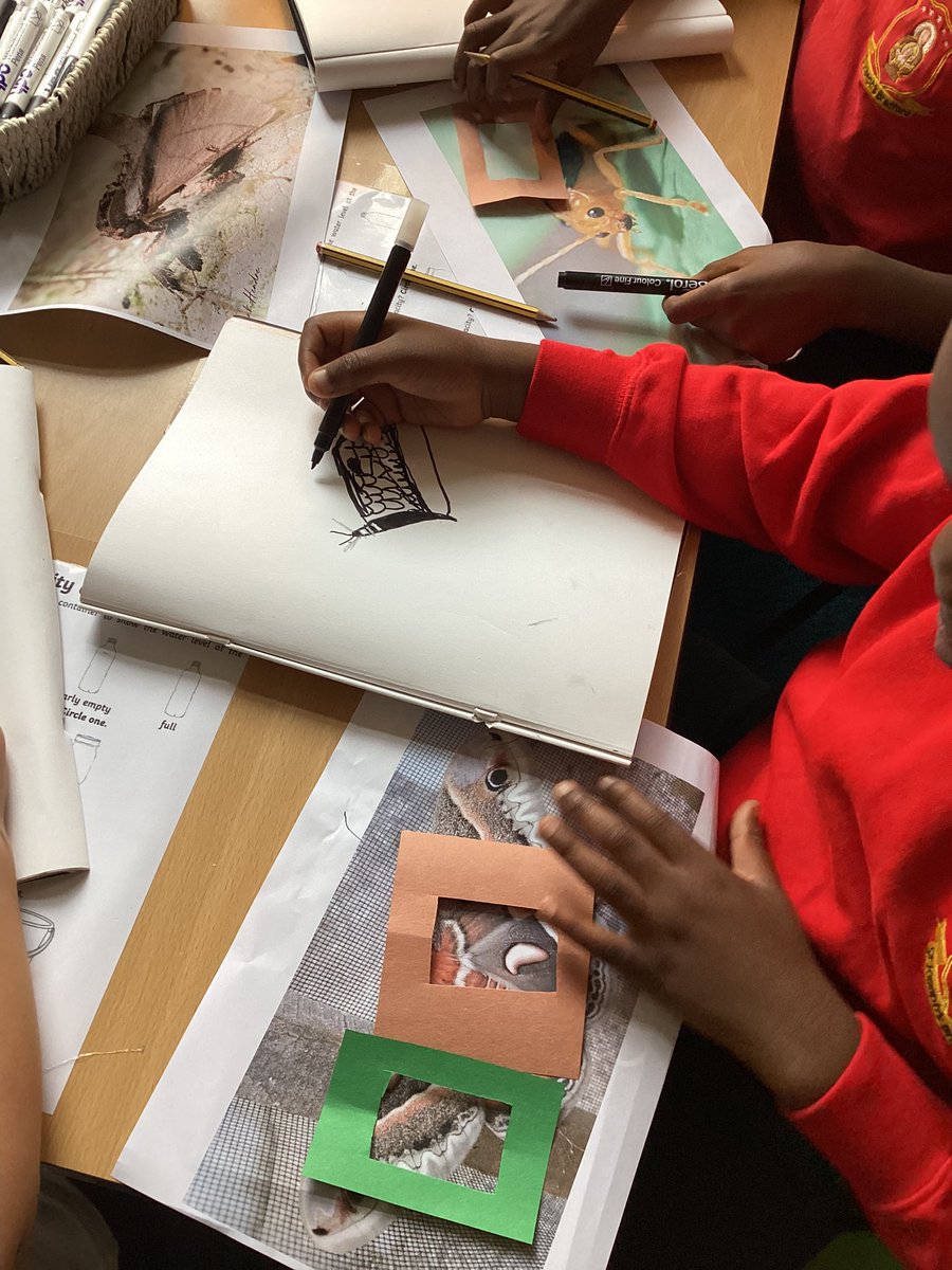 St Joseph's Catholic Primary Bradford tweet media