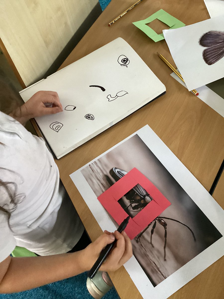 St Joseph's Catholic Primary Bradford tweet media