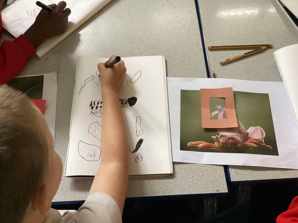 St Joseph's Catholic Primary Bradford tweet media