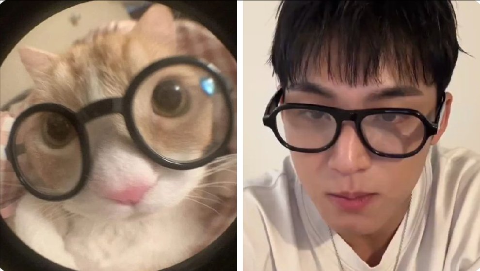 BehinddaDisplay's tweet image. Catsu!