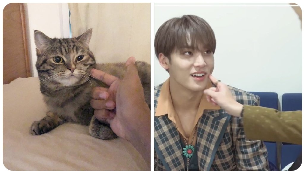 BehinddaDisplay's tweet image. Catsu!