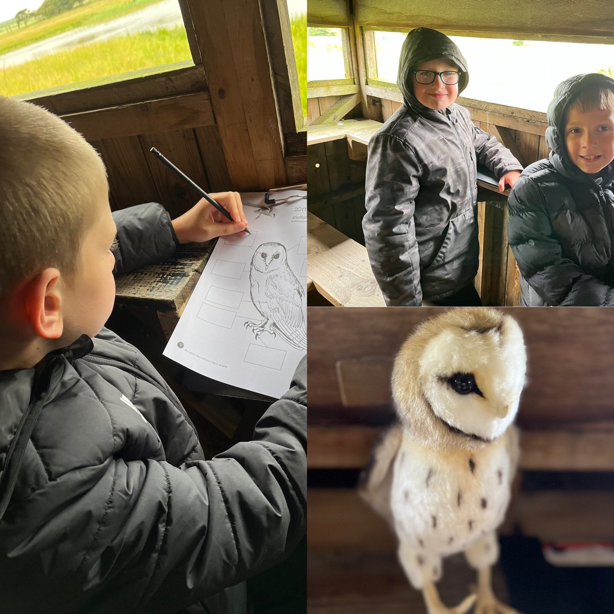 childrensuni's tweet photo. YR3 pupils from @LonghillPrimary have had a fabulous day at @YorksWildlife Spurn Point. They have been learning so much about wildlife and conservation.
#Learningcomestolife
#InspireBelieveAchieve
#Makingdreams https://t.co/KXcwgVsybu