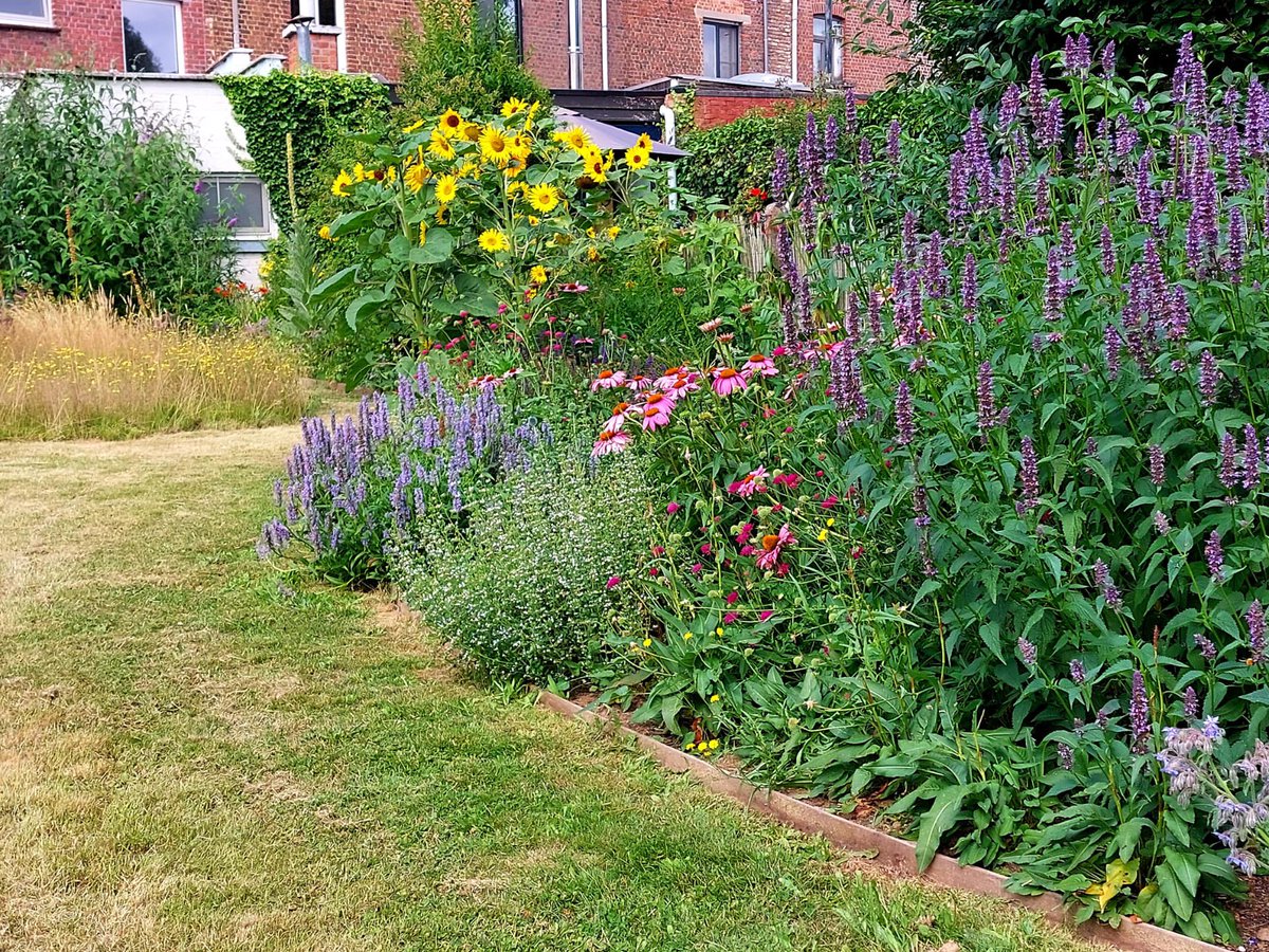 Gina Cavan (@ginamcavan) on Twitter photo How does the way you use your #garden influence how it looks?
Research <a href="/ManMetUni/">Manchester Metropolitan Uni</a> & KU Leuven (Belgium) seeks to understand how the use of gardens impacts upon garden composition.
If you live in Greater Manchester, please take our 10-min survey kuleuven.eu.qualtrics.com/jfe/form/SV_9X… How does the way you use your #garden influence how it looks?
Research <a href="/ManMetUni/">Manchester Metropolitan Uni</a> & KU Leuven (Belgium) seeks to understand how the use of gardens impacts upon garden composition.
If you live in Greater Manchester, please take our 10-min survey kuleuven.eu.qualtrics.com/jfe/form/SV_9X…