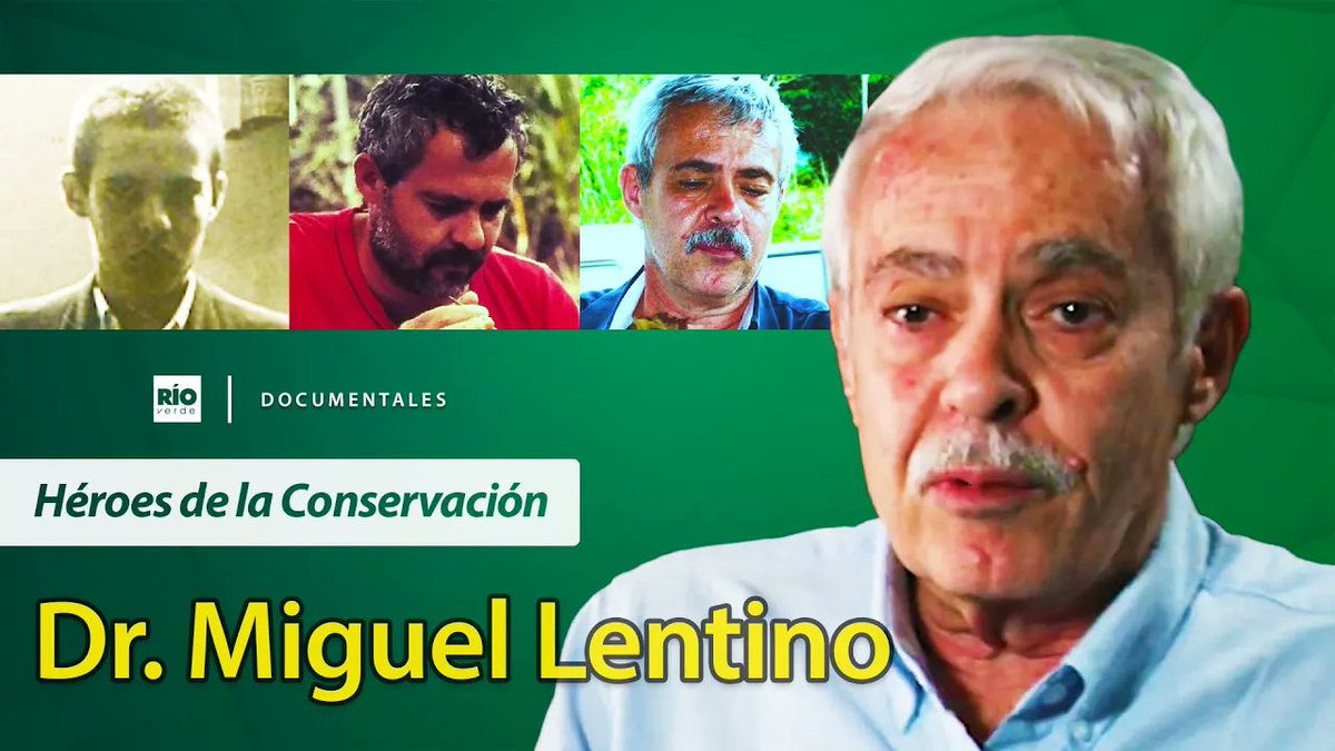 Miguel Lentino - Héroes de la conservación Río Verde youtu.be/6_tqBTFVZeo?si… a través de <a href="/YouTube/">YouTube</a> <a href="/FundacionPhelps/">Fundación Phelps</a> <a href="/Audubon_VZLA/">Audubon de Venezuela</a> <a href="/FundaLaSalle/">Fundación La Salle</a>