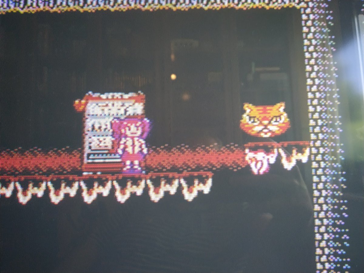 Thomas Nickel tweet media