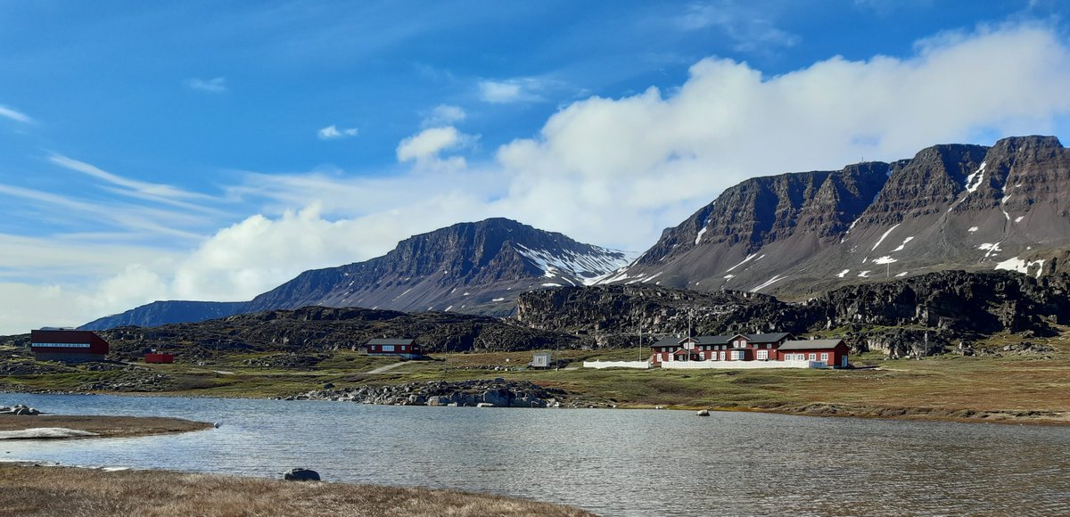 Kirsten Seestern Christoffersen (@kirstenseestern) on Twitter photo Arctic summer - here you come!
Sun shines (sometimes!), flowers emerge, mosquitoes hatch from any waterbody and fieldwork is a joyful habit. #Qeqertarsuaq
<a href="/ArcticStationUC/">Arctic Station Disko</a> <a href="/FBL_UCPH/">UCPH Section for Freshwater Biology</a> <a href="/BIO_UCPH/">Biologisk Institut</a> Arctic summer - here you come!
Sun shines (sometimes!), flowers emerge, mosquitoes hatch from any waterbody and fieldwork is a joyful habit. #Qeqertarsuaq
<a href="/ArcticStationUC/">Arctic Station Disko</a> <a href="/FBL_UCPH/">UCPH Section for Freshwater Biology</a> <a href="/BIO_UCPH/">Biologisk Institut</a>
