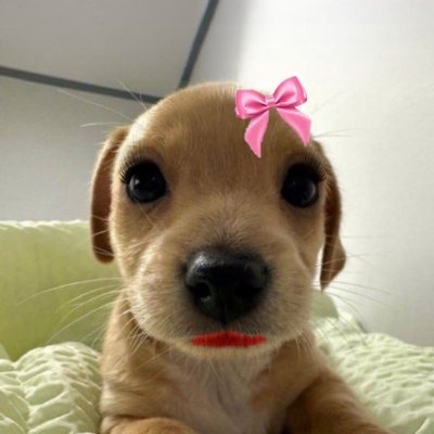 RealBellaCTO's tweet photo. @GotrillaGorilla $billy girlfriend $bella loves you too .

&amp;Bella loves $billy https://t.co/i5RAp8EzJ5