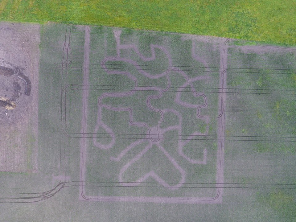 JefferiesSeeds's tweet image. Our 1st attempted #cornmaze

Pretty cool technology with precision planting @GVE_JD 

It’s sure to be a challenging one. Special thanks to our partners with this project @chaduthf 

@PioneerSeedsCA @PioneerSeeds