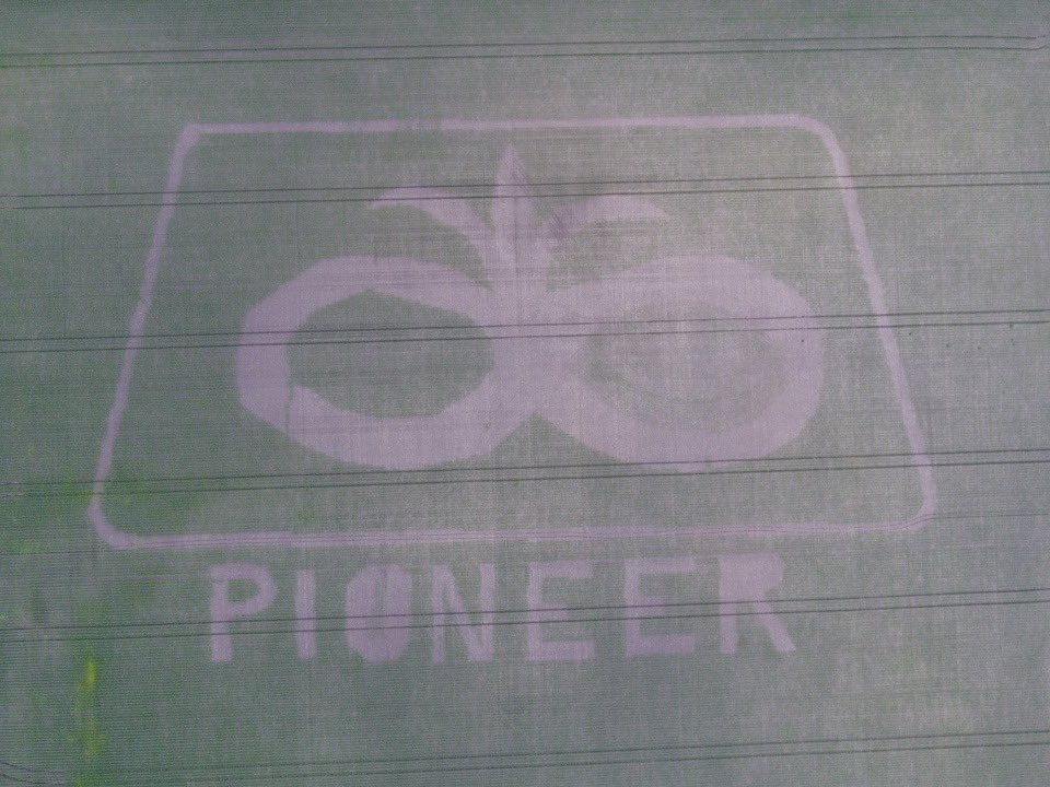 JefferiesSeeds's tweet image. Our 1st attempted #cornmaze

Pretty cool technology with precision planting @GVE_JD 

It’s sure to be a challenging one. Special thanks to our partners with this project @chaduthf 

@PioneerSeedsCA @PioneerSeeds
