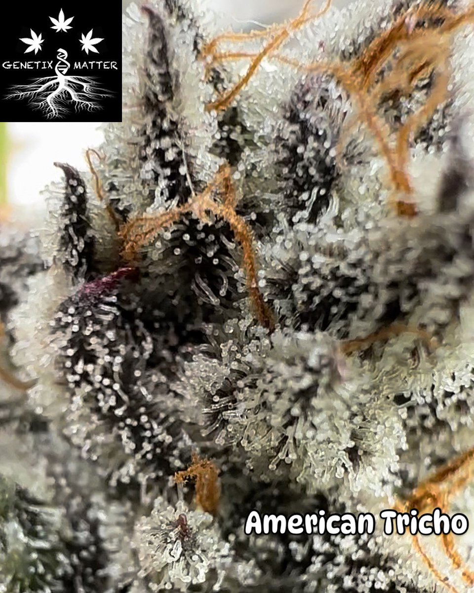 Have  great week filled with positive vibes!