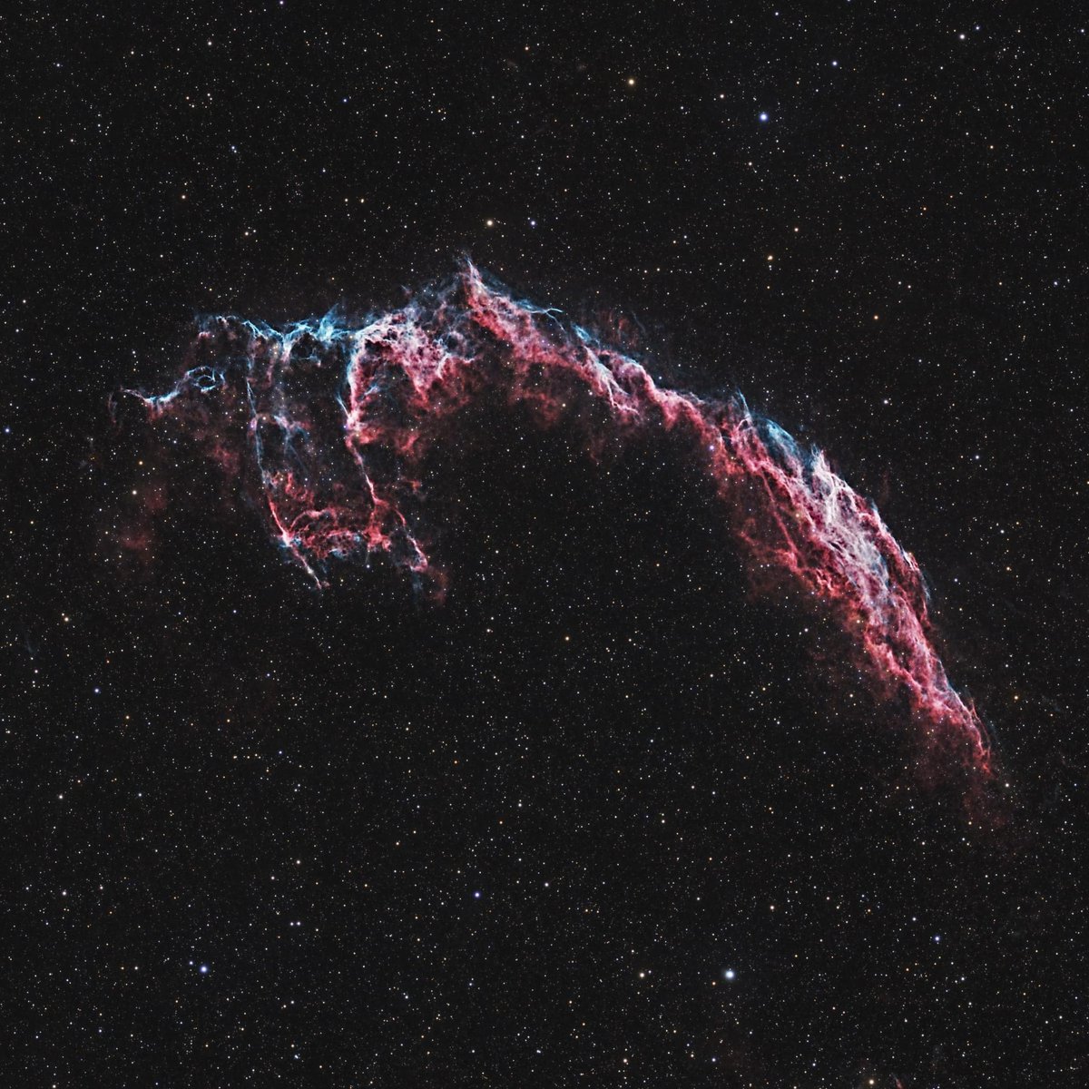 WupinStick's tweet photo. NGC6992 - Eastern Veil Nebula📸
I captured a little over 5 hours of data to create this image. #Astrophotography 

https://t.co/Lw0Ze8ygCI https://t.co/7hZRrIm2Bs