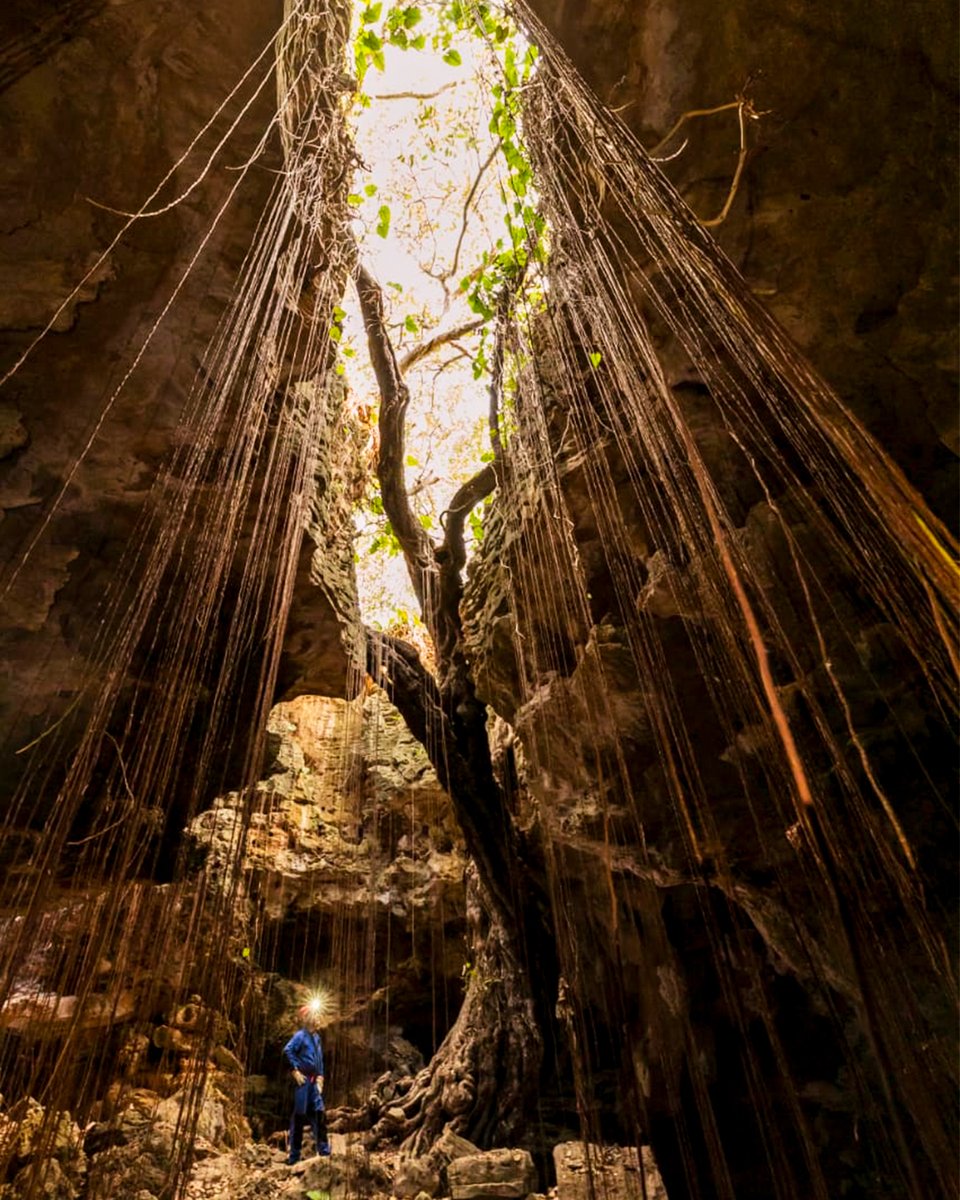 VisiteORN's tweet photo. Felipe Guerra: um destino perfeito para ecoturismo e aventura no Rio Grande do Norte. Descubra suas cavernas e as deslumbrantes cachoeiras da Caripina e do Roncador. Um convite à conexão com a natureza. ⛰️🏞️

📸 @‌gessielecosta @felipe_guerrarn e Diego Bento/ICMBio/Cecav https://t.co/WfKmUy5nQu