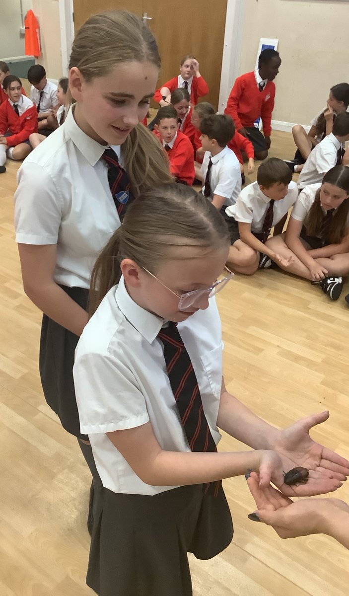 HilltopJun's tweet photo. Our year 5 &amp; 6's enjoyed their visit from ZooLab today as part of the science curriculum. https://t.co/OMoANMY96C