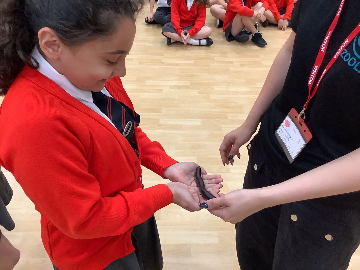 HilltopJun's tweet photo. Our year 5 &amp; 6's enjoyed their visit from ZooLab today as part of the science curriculum. https://t.co/OMoANMY96C