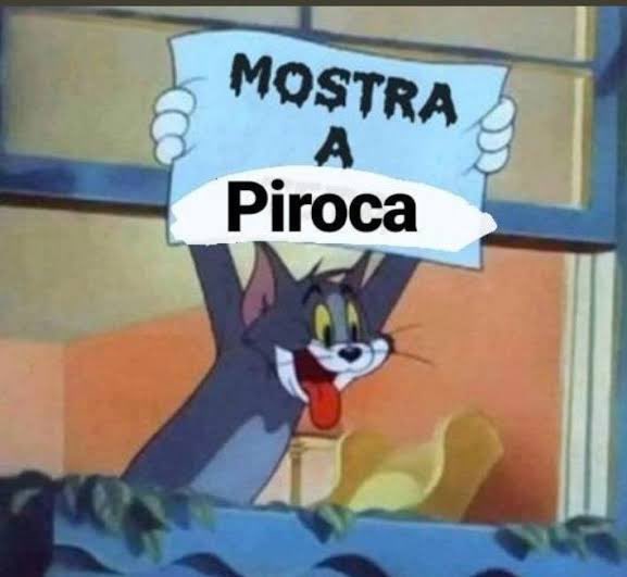 Dot’s Floripa 10k tweet media