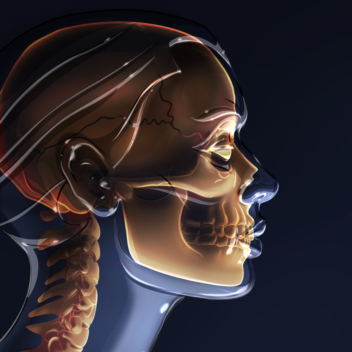 ooo000ooo's tweet image. GM