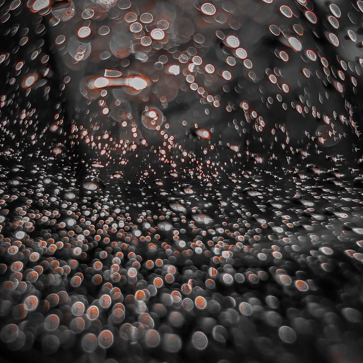 Raindrops + moving car = Macro.
#ShotOnSnapdragon #GalaxyS24 #S24Ultra #photography