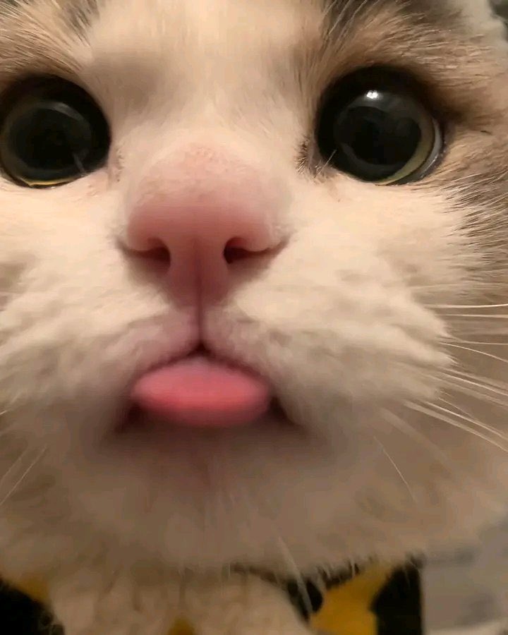 เวลาทัมผิดเทอต้องขออารัย                                              ขอ โทดคุนค่ะ