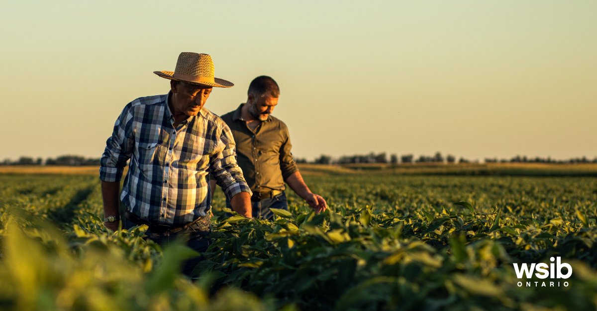 WSIB's tweet image. It pays to invest in health and safety. You could see a return on investment from $1 to $2.14 for every dollar you spend making your workplace safer. Check out our health and safety resources to learn more.

wsib.ca/en/workplacesa…