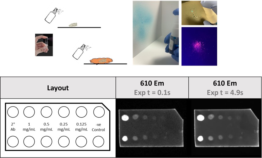 Fentanyl Spray Detection (patent pending)
We've developed a way to quench CPNs &amp;only allow it to fluoresce on contact with fentanyl hapten. Other target sprays can be developed.
Europe’s fentanyl timebomb? shorturl.at/61bGT
#FentanylDetectection#Fluorescence#DiscoverBright