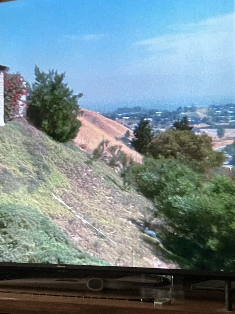 uɐoɯı tweet media