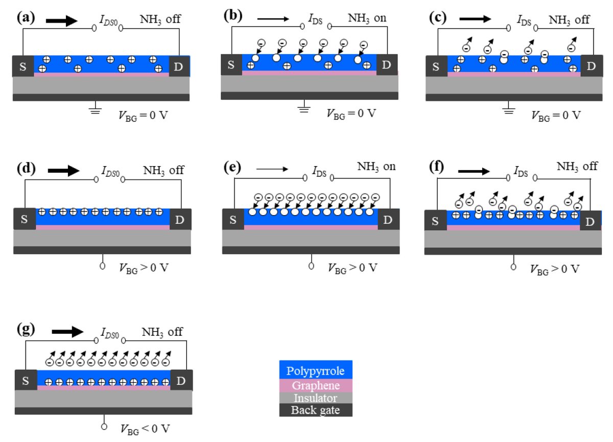 chemosens_MDPI's tweet image. #Article
Enhanced Gas Detection by Altering Gate Voltage Polarity of Polypyrrole/Graphene Field-Effect Transistor Sensor by Xiaohui Tang, et al.
doi.org/10.3390/chemos…

@MDPIOpenAccess @UCLouvain_be @UMONSnews
#gasdetection #fieldeffecttransistorsensor #backgatevoltagepolarity