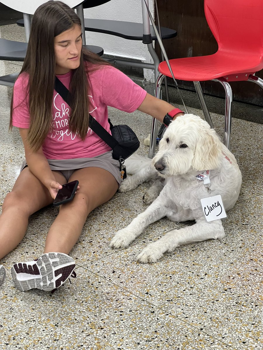 HillaryRice4's tweet photo. @kyshape #MoveThrive24 Addison found a new friend https://t.co/9xBjEsSHhF