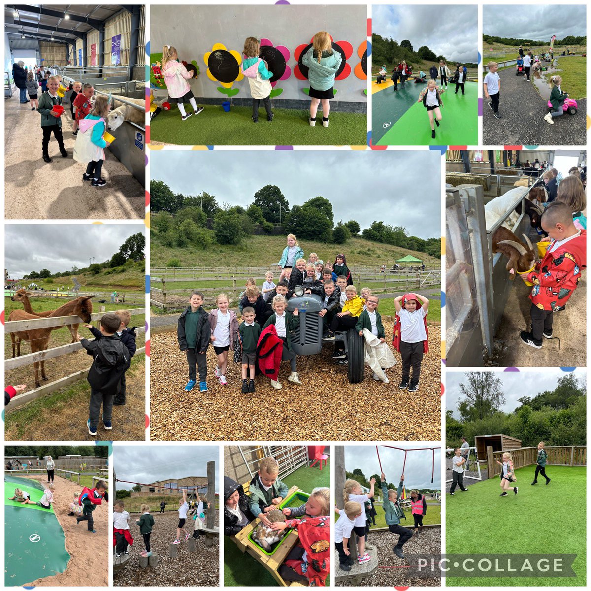 Diwrnod gwych yn fferm Colliers heddiw! ☀️ 🐴 🐷 🐑