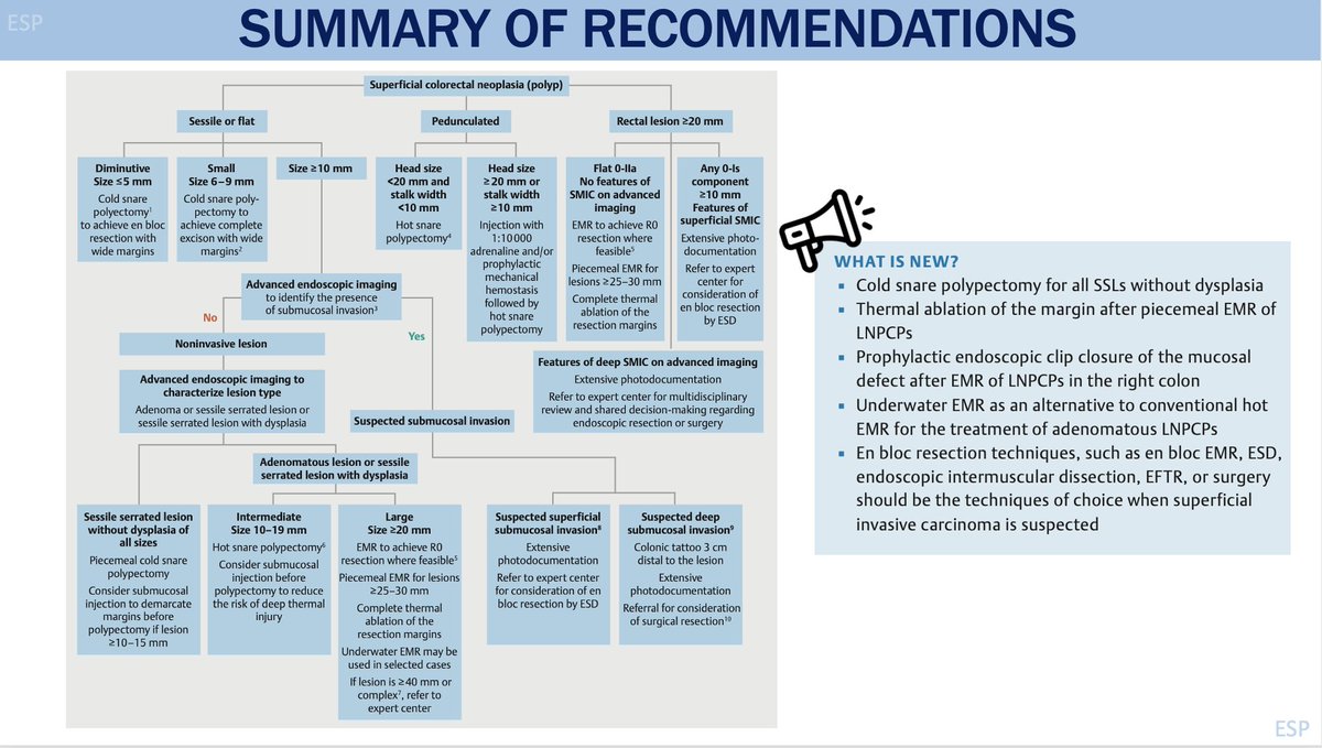Check out the new guidelines from <a href="/ESGE_news/">ESGE</a> on COLORECTAL POLYPECTOMY!🔑takeaways:
🔎Adequate lesion characterization is vital
🎯&lt; 10mm: ❄️snare/&gt;20 mm: ♨️/🌊ERM
🖇️closure for right colon&amp;&gt;20mm lesions
🔥Thermal ablation of margins if &gt;20 mm/piecemeal
#GIFellows #GIEndoscopy