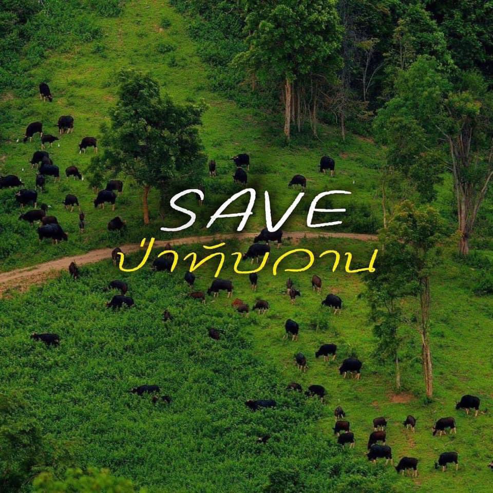 #Saveทับลาน
