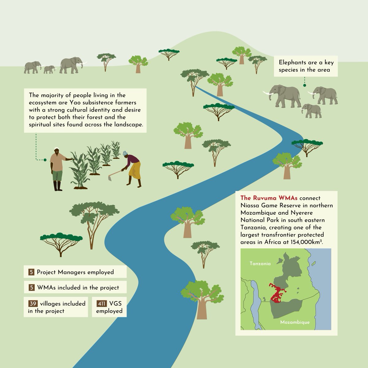 Ruvuma Wilderness - Protecting forests for farmers, wildlife and climate.

#carbontanzania #climate #community #agriculture #forest