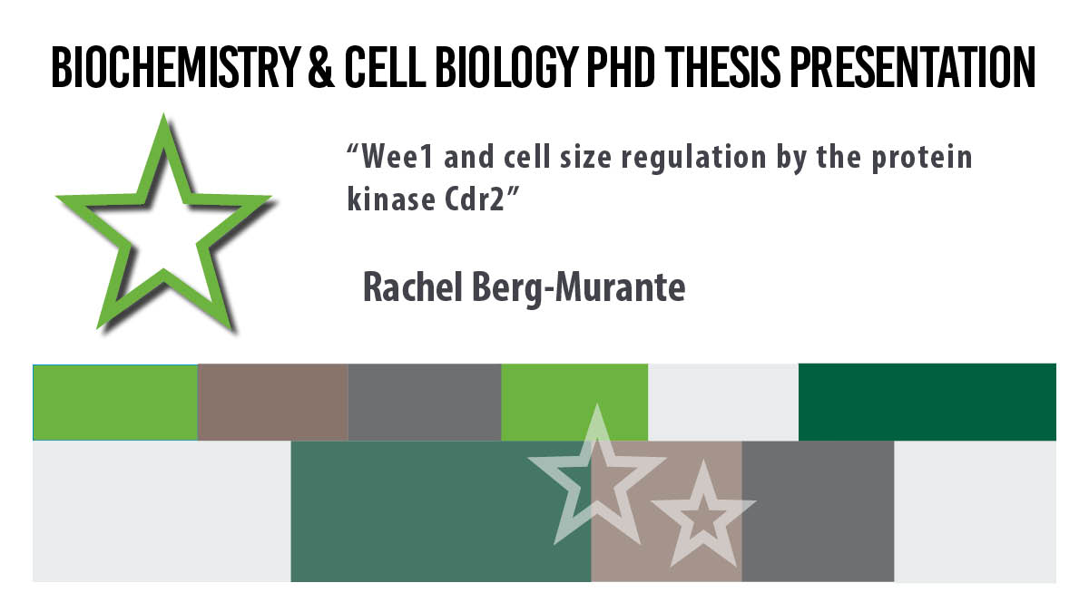 Rachel Berg-Murante will be delivering her PhD Thesis Presentation TODAY at 11 am.  Join us in Chilcott Auditorium.