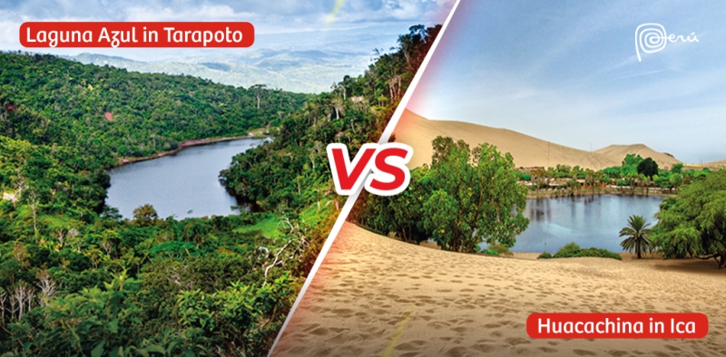 VisitPeru's tweet photo. 🏜️🌴Adventure awaits! 

Which one would you choose: visiting Huacachina in Ica or Laguna Azul in Tarapoto? Cast your vote and let us know your preference! 🗳️✨

#visitperu #peru #perutravel #travelperu #perudestinations #Ica #Puno #Tarapoto https://t.co/sedreRw8QG