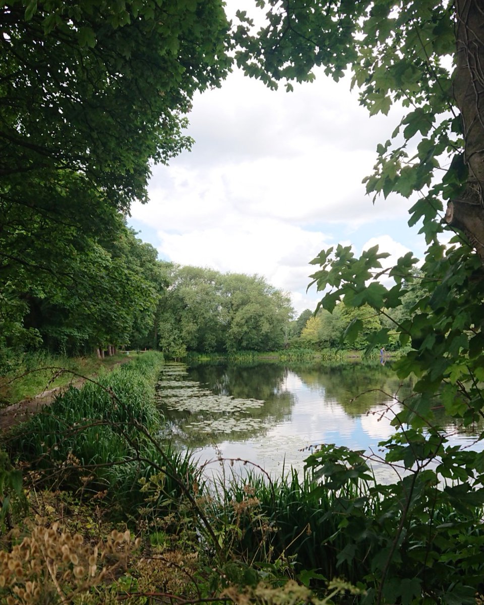 R_ChelfordWest's tweet photo. A quick snap 📸 of Edgeley Reservoir on my  to Reservoir Road.. 

#photo #photography #quicksnap #edgeleyreservoir #edgeleypark #edgeley #nature #outdoors #stockport #sykesreservoir https://t.co/XGs6FAE7O6