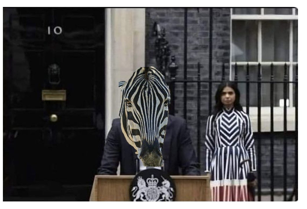 Zebra family announce long migration from Downing Street