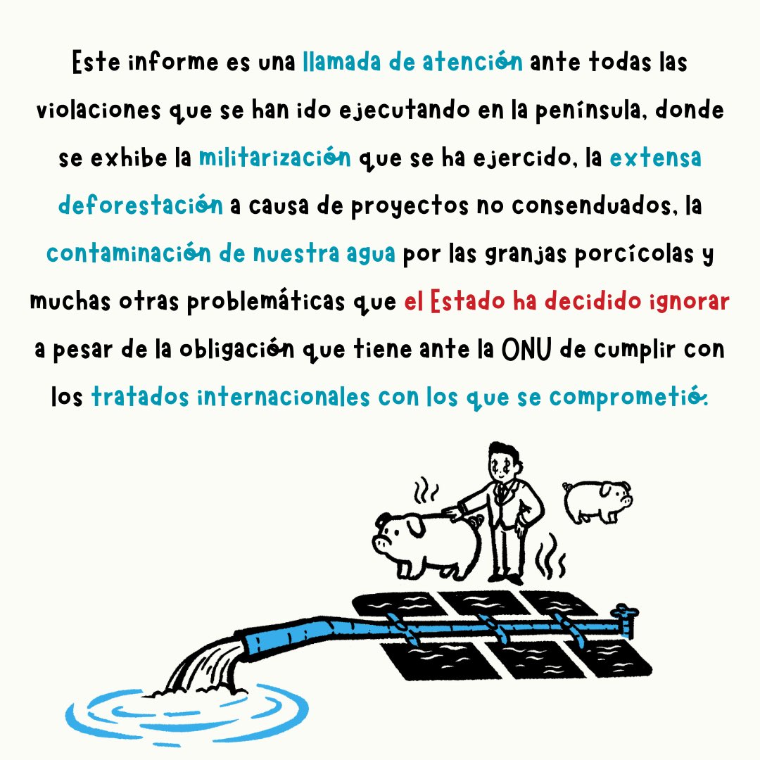 gchristy65's tweet photo. EXTRACTIVISMO EN LA PENÍNSULA DE YUCATÁN: UNA SISTEMÁTICA 
VULNERACIÓN A LOS DERECHOS HUMANOS

 Favor de compartir…
@SelvameMX
@SelvaMayaSOS
@laselvasalva
@soscenotes 

https://t.co/tuutBzmr1w https://t.co/SAIIbfKhnx
