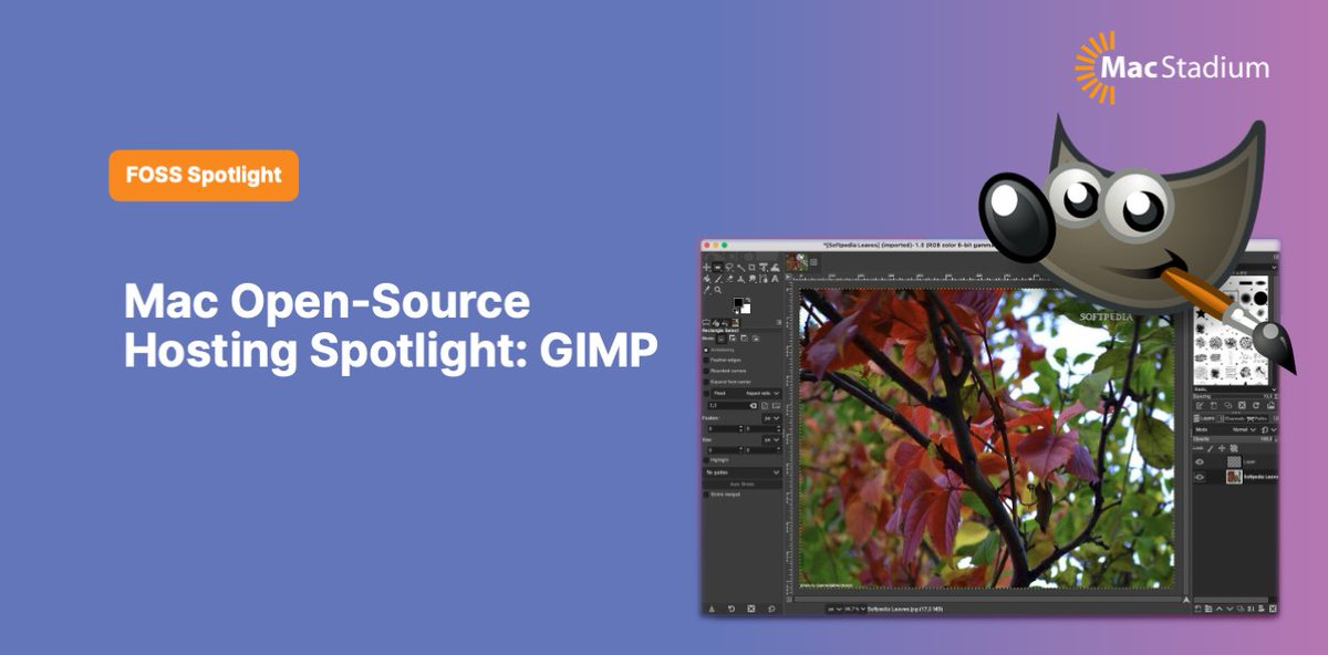 MacStadium's tweet image. Like Photoshop but not the price? You'll want to add @GIMP_Official to your #opensouce favorites.
See how GIMP uses a MacStadium Mac mini to build GIMP for macOS + what to expect in GIMP 3 in our latest blog. ⬇️
macstadium.com/blog/mac-open-…