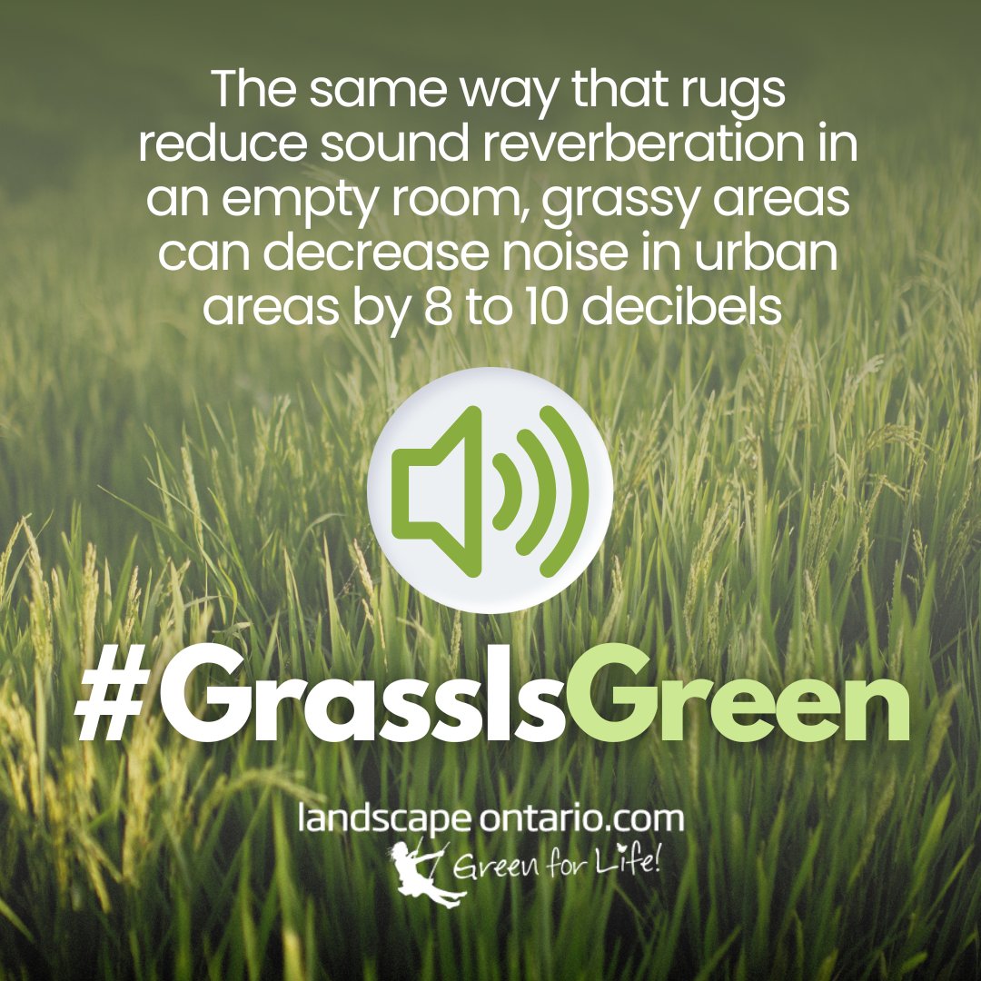 Imagine a completely empty room with wooden floors. It's an echo chamber! 🔊 Now, add a carpet. What a difference a soft surface makes! 🔇  #LawnScience #GrassIsGreen (Check out the Lawn.Science website for resources like this)